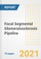 Focal Segmental Glomerulosclerosis Pipeline Drugs and Companies, 2021- Phase, Mechanism of Action, Route, Licensing/Collaboration, Pre-clinical and Clinical Trials - Product Image