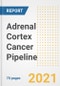 Adrenal Cortex Cancer Pipeline Drugs and Companies, 2021- Phase, Mechanism of Action, Route, Licensing/Collaboration, Pre-clinical and Clinical Trials - Product Thumbnail Image