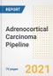 Adrenocortical Carcinoma (Adrenal Cortex Cancer) Pipeline Drugs and Companies, 2021- Phase, Mechanism of Action, Route, Licensing/Collaboration, Pre-clinical and Clinical Trials - Product Image