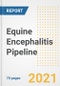Equine Encephalitis Pipeline Drugs and Companies, 2021- Phase, Mechanism of Action, Route, Licensing/Collaboration, Pre-clinical and Clinical Trials - Product Image
