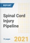 Spinal Cord Injury Pipeline Drugs and Companies, 2021- Phase, Mechanism of Action, Route, Licensing/Collaboration, Pre-clinical and Clinical Trials - Product Image