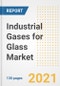 Industrial Gases for Glass Market Outlook, Growth Opportunities, Market Share, Strategies, Trends, Companies, and Post-COVID Analysis, 2021 - 2028 - Product Thumbnail Image