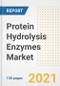 Protein Hydrolysis Enzymes Market Outlook, Growth Opportunities, Market Share, Strategies, Trends, Companies, and Post-COVID Analysis, 2021 - 2028 - Product Image