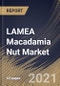 LAMEA Macadamia Nut Market By Processing (Conventional and Organic), By Product (Raw, Roasted and Coated), By Distribution Channel (Offline and Online), By Country, Growth Potential, Industry Analysis Report and Forecast, 2021 - 2027 - Product Thumbnail Image