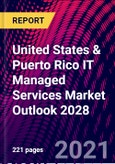 United States & Puerto Rico IT Managed Services Market Outlook 2028- Product Image