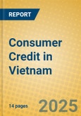 Consumer Credit in Vietnam- Product Image