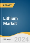 Lithium Market Size, Share & Trends Analysis Report by Product (Carbonate, Hydroxide), by Application (Automotive, Consumer Goods, Grid Storage), by Region (APAC, EU, North America), and Segment Forecasts, 2022-2030- Product Image