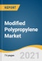 Modified Polypropylene Market Size, Share & Trends Analysis Report by Application (Automotive, Medical, Electrical & Electronics, Building & Construction, Packaging), by Region, and Segment Forecasts, 2021 - 2030 - Product Image