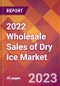 2022 Wholesale Sales of Dry Ice Global Market Size & Growth Report with COVID-19 Impact - Product Image