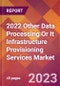 2022 Other Data Processing Or It Infrastructure Provisioning Services Global Market Size & Growth Report with COVID-19 Impact - Product Image
