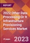 2022 Other Data Processing Or It Infrastructure Provisioning Services Global Market Size & Growth Report with COVID-19 Impact - Product Image