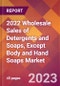 2022 Wholesale Sales of Detergents and Soaps, Except Body and Hand Soaps Global Market Size & Growth Report with COVID-19 Impact - Product Image