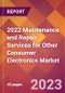 2022 Maintenance and Repair Services for Other Consumer Electronics Global Market Size & Growth Report with COVID-19 Impact - Product Image