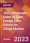 2022 Wholesale Sales of Corn, Except Corn Grown for Silage Global Market Size & Growth Report with COVID-19 Impact - Product Image