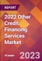 2022 Other Credit Financing Services Global Market Size & Growth Report with COVID-19 Impact - Product Thumbnail Image