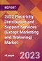 2022 Electricity Distribution and Support Services (Except Marketing and Brokering) Global Market Size & Growth Report with COVID-19 Impact - Product Image