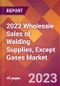 2022 Wholesale Sales of Welding Supplies, Except Gases Global Market Size & Growth Report with COVID-19 Impact - Product Image
