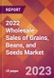2022 Wholesale Sales of Grains, Beans, and Seeds Global Market Size & Growth Report with COVID-19 Impact - Product Image