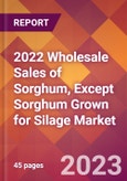 2022 Wholesale Sales of Sorghum, Except Sorghum Grown for Silage Global Market Size & Growth Report with COVID-19 Impact- Product Image