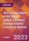 2022 Retail Sales of All Other Indoor Furniture (Except Infants' Furniture) Global Market Size & Growth Report with COVID-19 Impact - Product Image