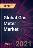 Global Gas Meter Market 2021-2025- Product Image