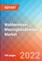 Waldenstrom Macroglobulinemia - Market Insight, Epidemiology and Market Forecast -2032 - Product Image