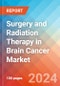 Surgery and Radiation Therapy in Brain Cancer - Market Insights, Competitive Landscape, and Market Forecast - 2030 - Product Thumbnail Image