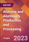 Alumina and Aluminum Production and Processing - 2022 U.S. Industry Market Research Report with COVID-19 Updates & Forecasts - Product Thumbnail Image