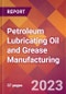 Petroleum Lubricating Oil and Grease Manufacturing - 2022 U.S. Industry Market Research Report with COVID-19 Updates & Forecasts - Product Image