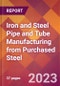 Iron and Steel Pipe and Tube Manufacturing from Purchased Steel - 2022 U.S. Industry Market Research Report with COVID-19 Updates & Forecasts - Product Thumbnail Image