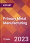 Primary Metal Manufacturing - 2022 U.S. Industry Market Research Report with COVID-19 Updates & Forecasts - Product Thumbnail Image