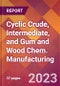 Cyclic Crude, Intermediate, and Gum and Wood Chem. Manufacturing - 2022 U.S. Industry Market Research Report with COVID-19 Updates & Forecasts - Product Image