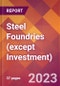 Steel Foundries (except Investment) - 2022 U.S. Industry Market Research Report with COVID-19 Updates & Forecasts - Product Image