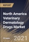 North America Veterinary Dermatology Drugs Market By Route of Administration, By Distribution Channel, By Drug Indication, By Animal Type, By Country, Opportunity Analysis and Industry Forecast, 2021 - 2027 - Product Image