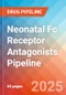 Neonatal Fc receptor antagonists - Pipeline Insight, 2024 - Product Image