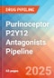 Purinoceptor P2Y12 antagonists - Pipeline Insight, 2024 - Product Image