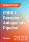 ERBB 2 receptor antagonists - Pipeline Insight, 2024 - Product Image