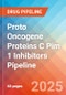 Proto Oncogene Proteins C Pim 1 Inhibitors - Pipeline Insight, 2025 - Product Thumbnail Image
