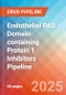 Endothelial PAS domain-containing protein 1 inhibitors - Pipeline Insight, 2024 - Product Thumbnail Image