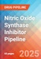 Nitric oxide synthase inhibitor - Pipeline Insight, 2024 - Product Image