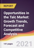 Opportunities in the Talc Market: Growth Trends, Forecast and Competitive Analysis- Product Image