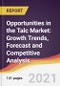 Opportunities in the Talc Market: Growth Trends, Forecast and Competitive Analysis - Product Image
