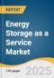 Energy Storage As A Service Market Size, Share & Trends Analysis Report By Service (Customer Energy Management Services, Ancillary Services), By End User, By Region, And Segment Forecasts, 2021- 2028 - Product Thumbnail Image