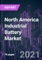 North America Industrial Battery Market 2020-2030 by Battery Type, Application, and Country: Trend Forecast and Growth Opportunity - Product Thumbnail Image