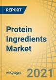 Protein Ingredients Market by Type (Animal Protein, Plant Protein, Insect Protein, Microbial Protein), Form (Dry, Liquid), Application (Food and Beverages, Animal Feed, Nutritional Supplements, Pharmaceuticals, Cosmetics) - Global Forecast to 2028- Product Image