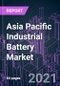 Asia Pacific Industrial Battery Market 2020-2030 by Battery Type, Application, and Country: Trend Forecast and Growth Opportunity - Product Thumbnail Image
