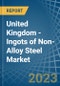 United Kingdom - Ingots of Non-Alloy Steel - Market Analysis, Forecast, Size, Trends and Insights. Update: COVID-19 Impact - Product Thumbnail Image
