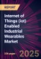 Internet of Things (iot) Enabled Industrial Wearables Market 2025-2029 - Product Image
