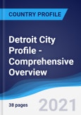 Detroit City Profile - Comprehensive Overview, PEST Analysis and Analysis of Key Industries including Technology, Tourism and Hospitality, Construction and Retail- Product Image