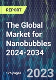 The Global Market for Nanobubbles 2024-2034- Product Image